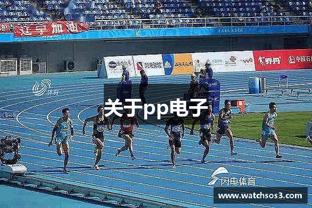 关于pp电子